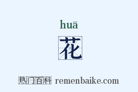 花是什么意思的图片